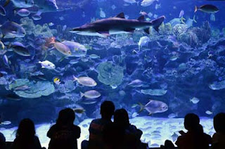 Aquaria KLCC