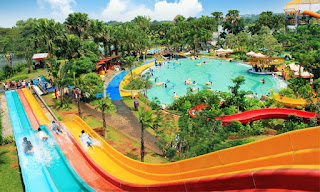 Racer Slide Water Kingdom